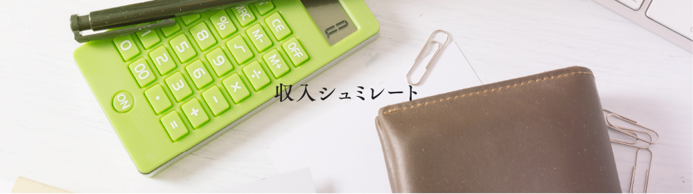 収入シュミレート